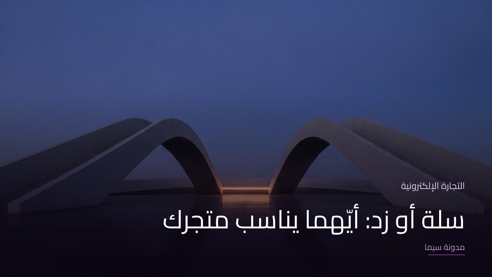 غلاف مقال «سلة أو زد: أيّهما يناسب متجرك»